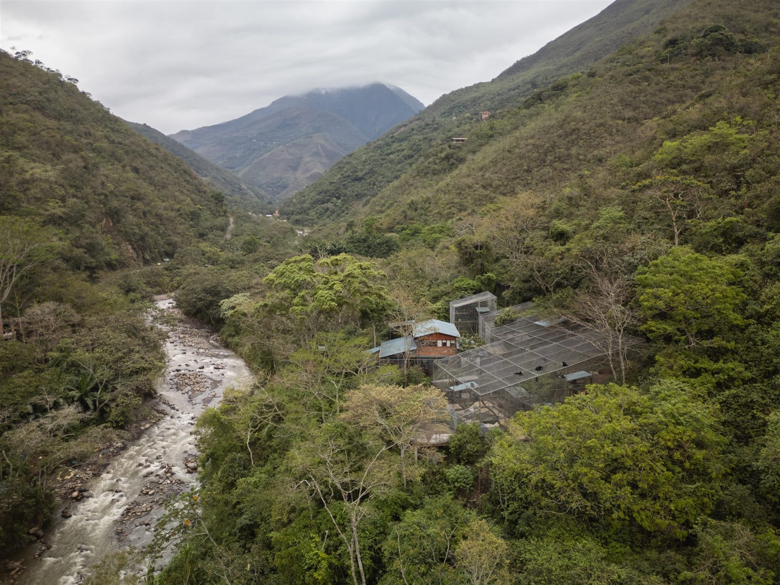 Aerial view of Senda Verde Wildlife Sanctuary, Yolosa River, where the tilcayo cat story began